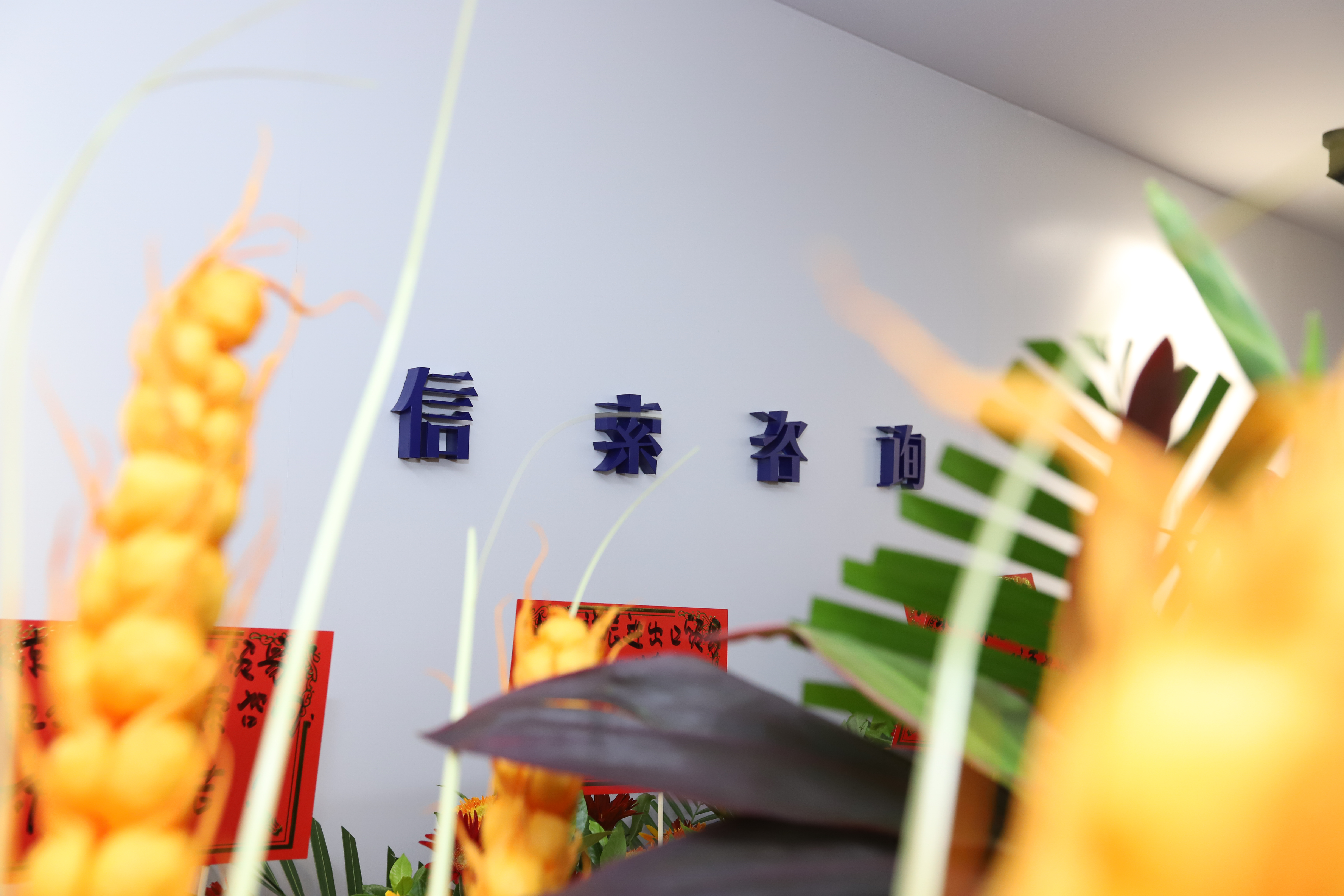 首页- 必发集团有限公司官方网站