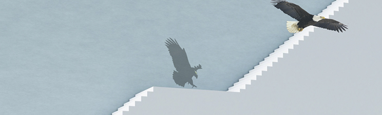 首页- 必发集团有限公司官方网站